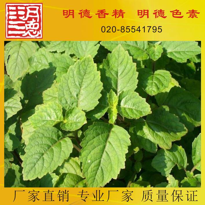 �c(di��n)���鿴Ԕ��(x��)